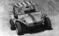 Buggy Puelche