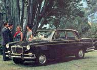 Siam Magnette