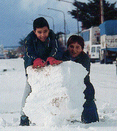 Operativo especial BMW 530d