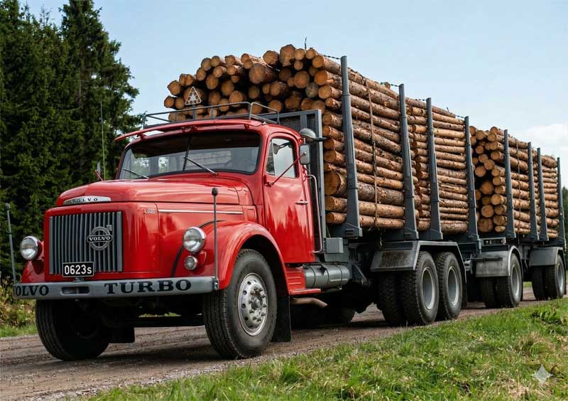 Cami&oacute;n Volvo L 495