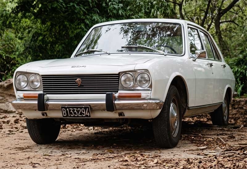 Peugeot 504