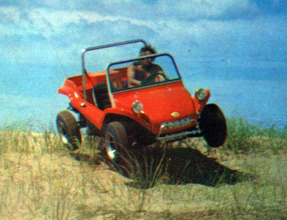 Puelche Buggy